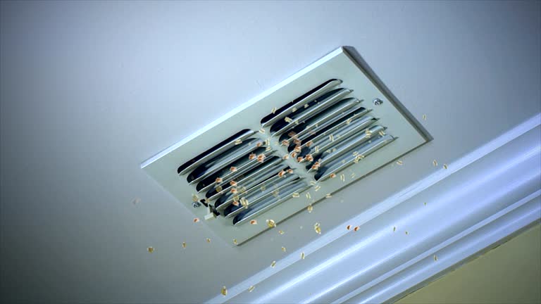 Best Professional Duct Cleaning Services  in Algona, WA