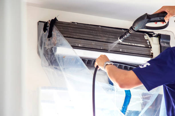 Best Air Duct Mold Removal  in Algona, WA