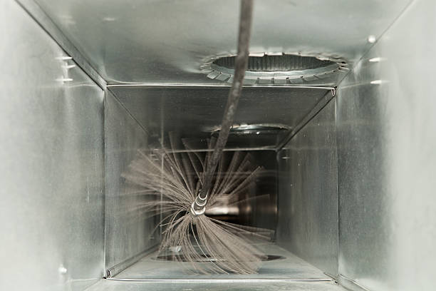 Best Professional Duct Cleaning Services  in Algona, WA